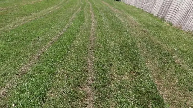 Kobalt mower online problems